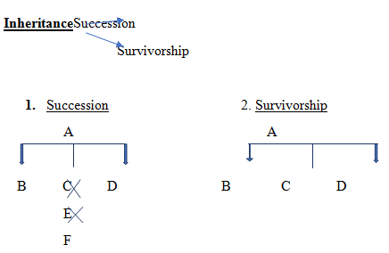 Law of inheritance