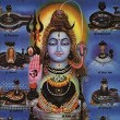 Bharat 12