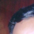 Tamizhselvan S.S.