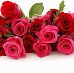 S Soorya Gayathry