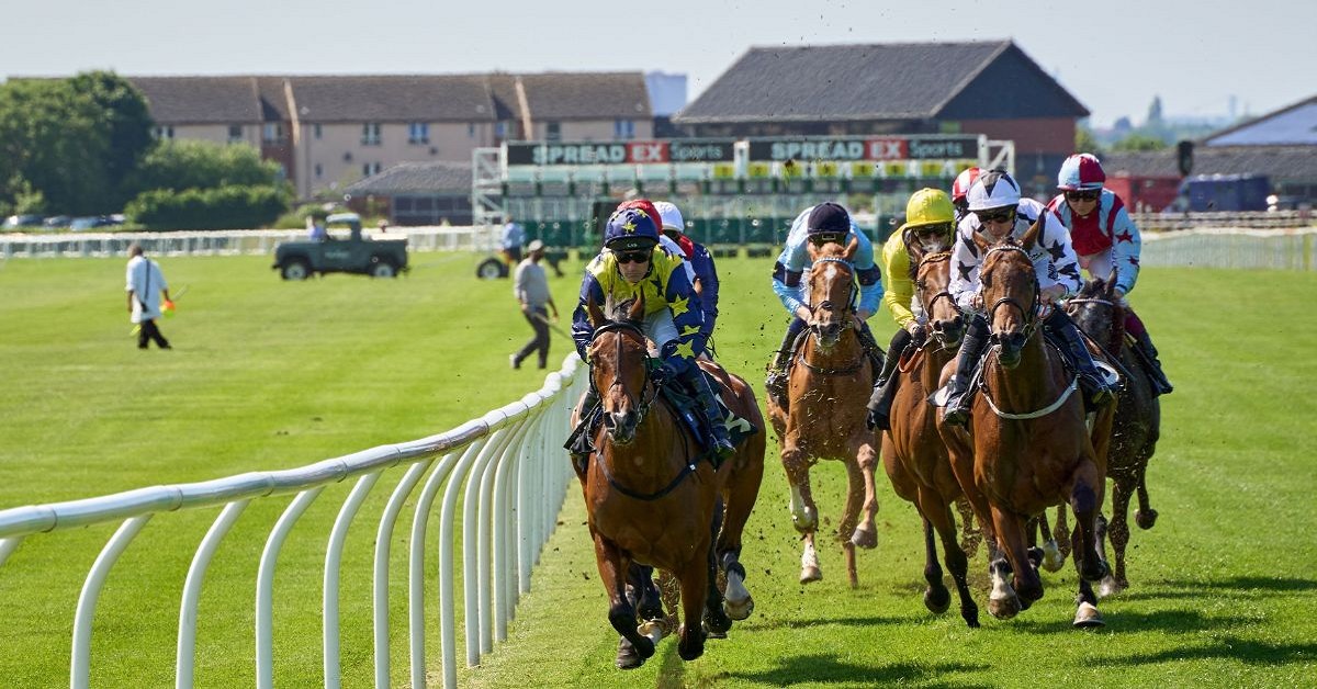 horse racing and wagering regulations: a global guide horse racing and wagering regulations: a global guide